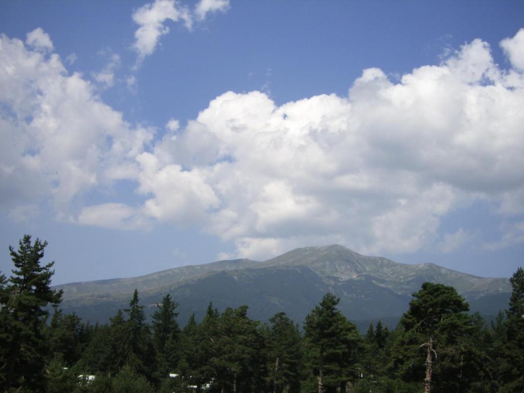 Bor Hotel Belitsa  Rum bild