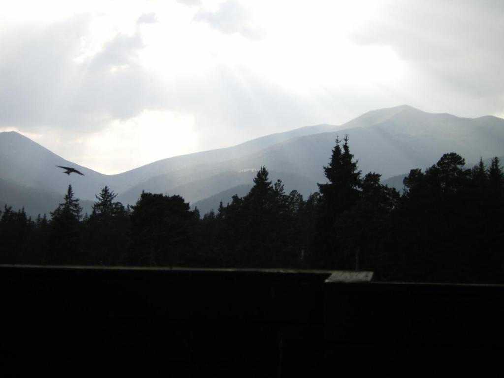 Bor Hotel Belitsa  Rum bild