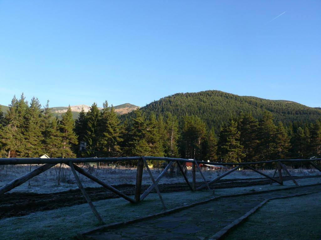 Bor Hotel Belitsa  Rum bild