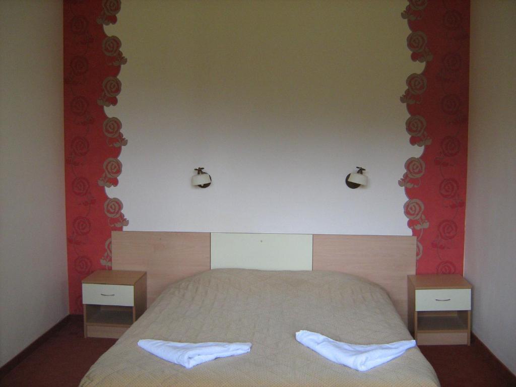 Bor Hotel Belitsa  Rum bild